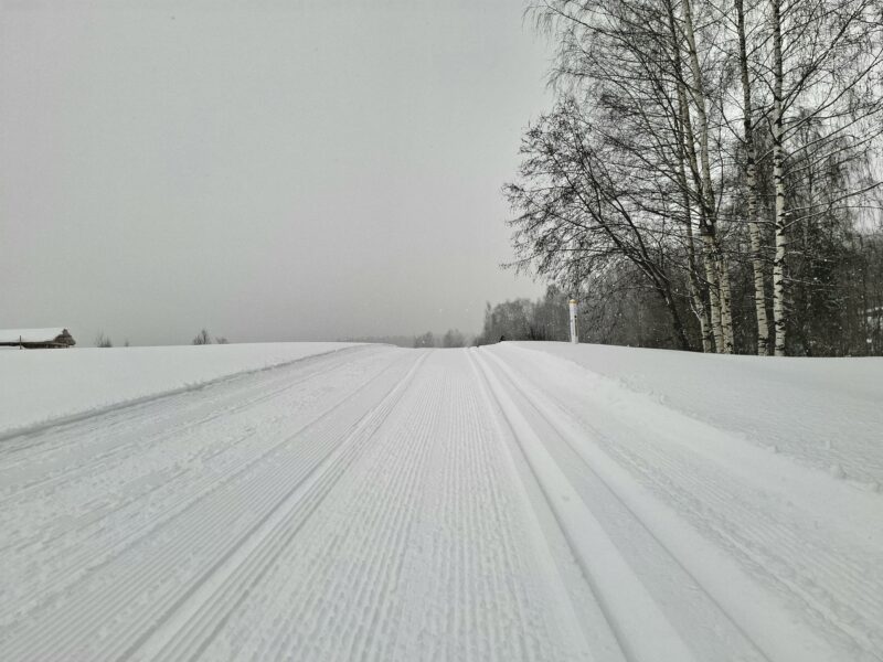 Трасса лыжная .Максима Парк, состояние на 14 февраля 2026 по отзыву, фото 2. 